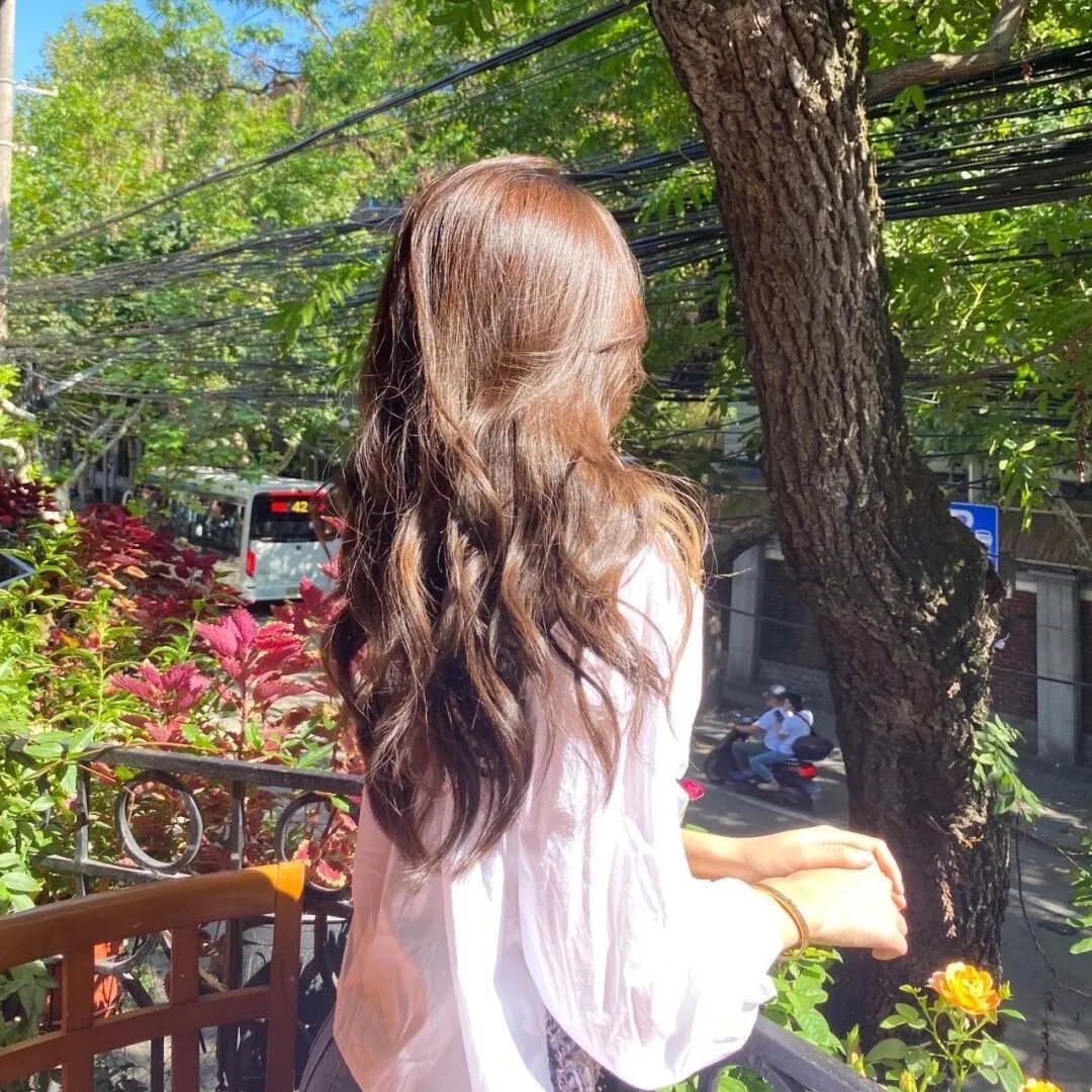 山羊和狼